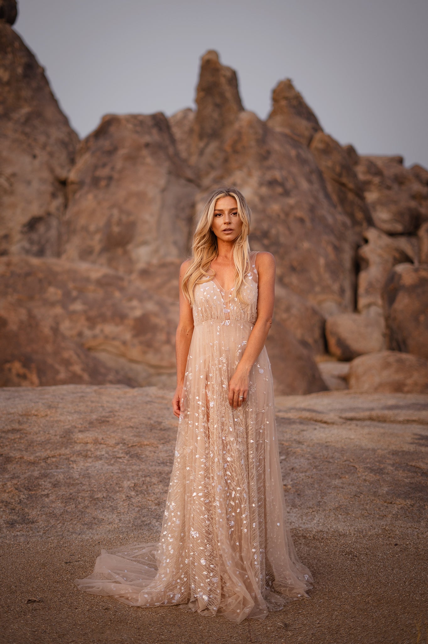 Selene Gown- Champagne Beaded Wedding Gown DAHL COLLECTION Selene Gown- Champagne Beaded Wedding Gown DAHL COLLECTION
